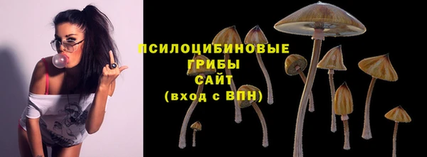 дурь Переславль-Залесский