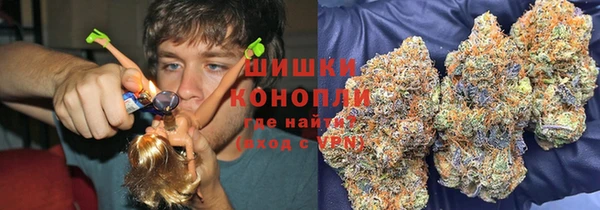 гидра Алексеевка